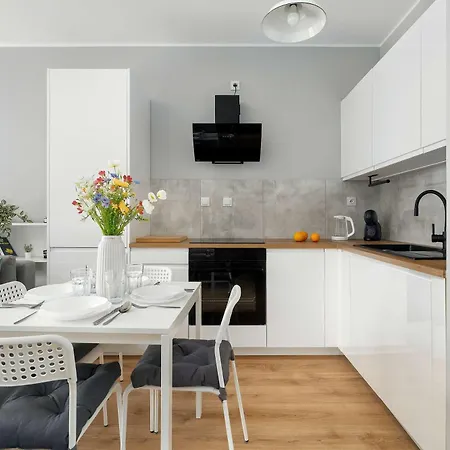 Bright In With Parking, Balcony And Desk By Renters Apartment